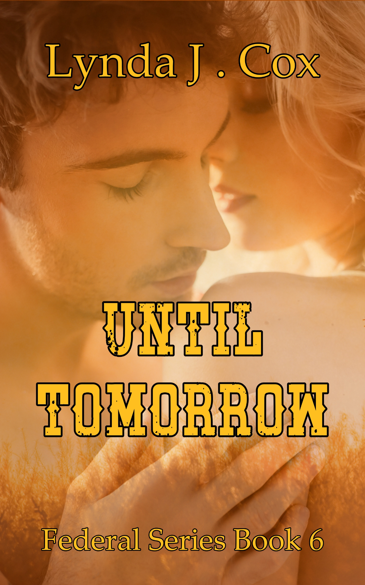 Until Tomorrow — The Federal Series by Lynda J. Cox