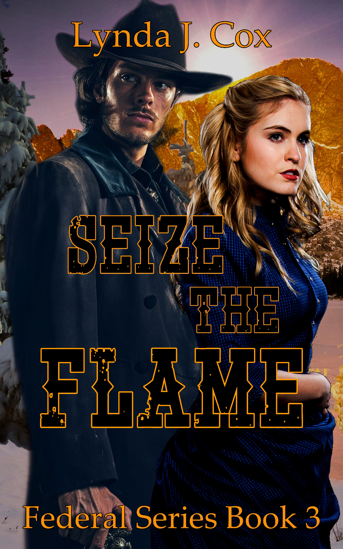 Seize the Flame — The Federal Series by Lynda J. Cox