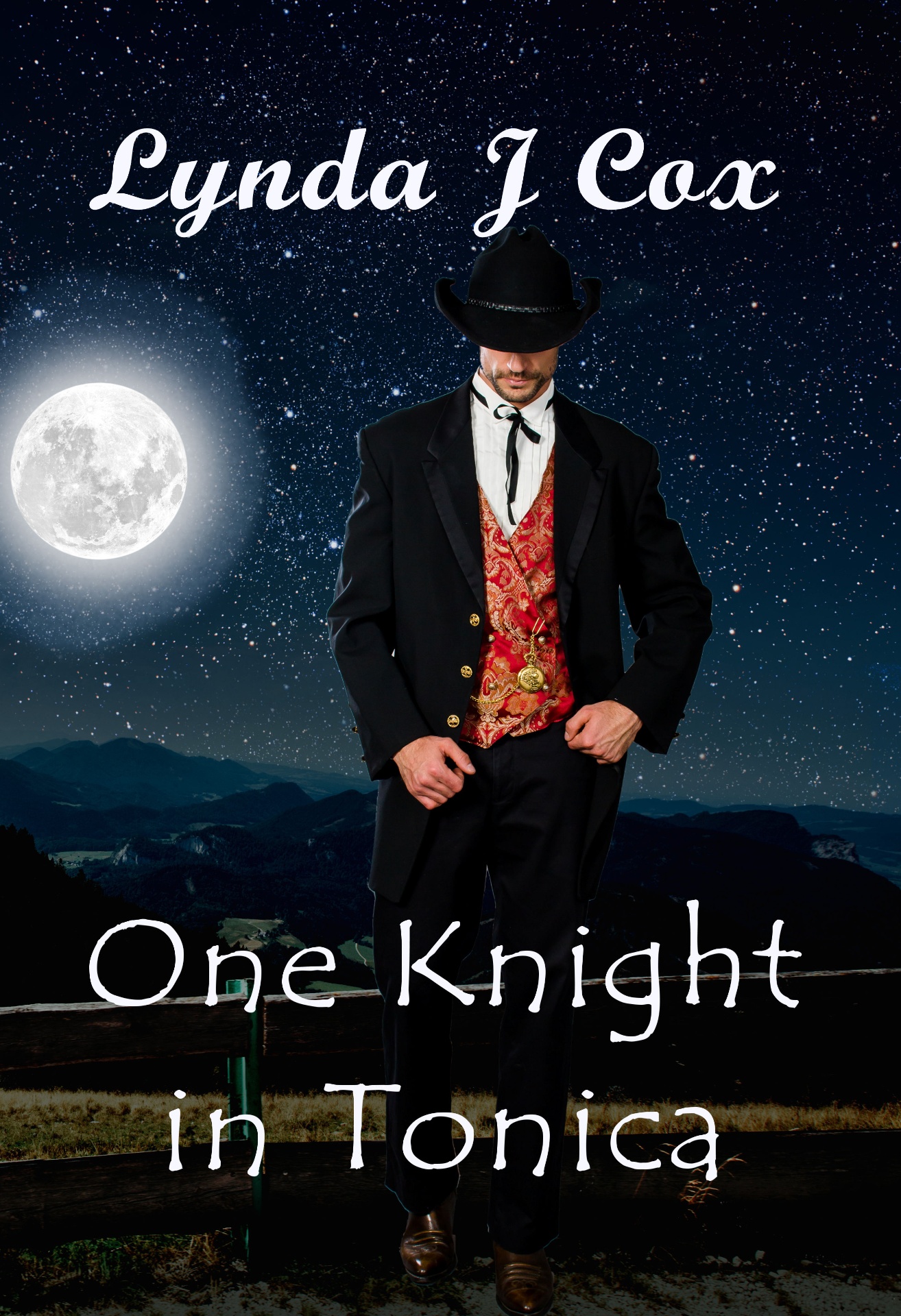 One Knight in Tonica — The Grooms of Tonica by Lynda J. Cox